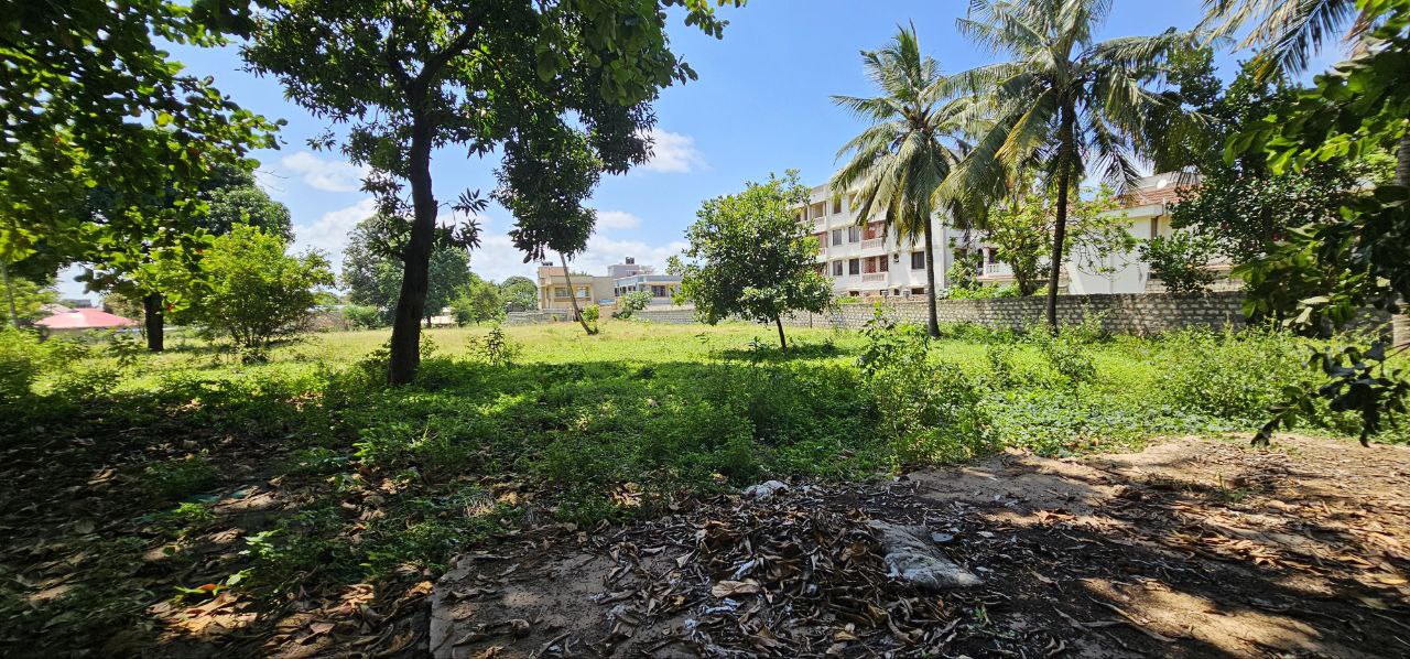Agricultural Land